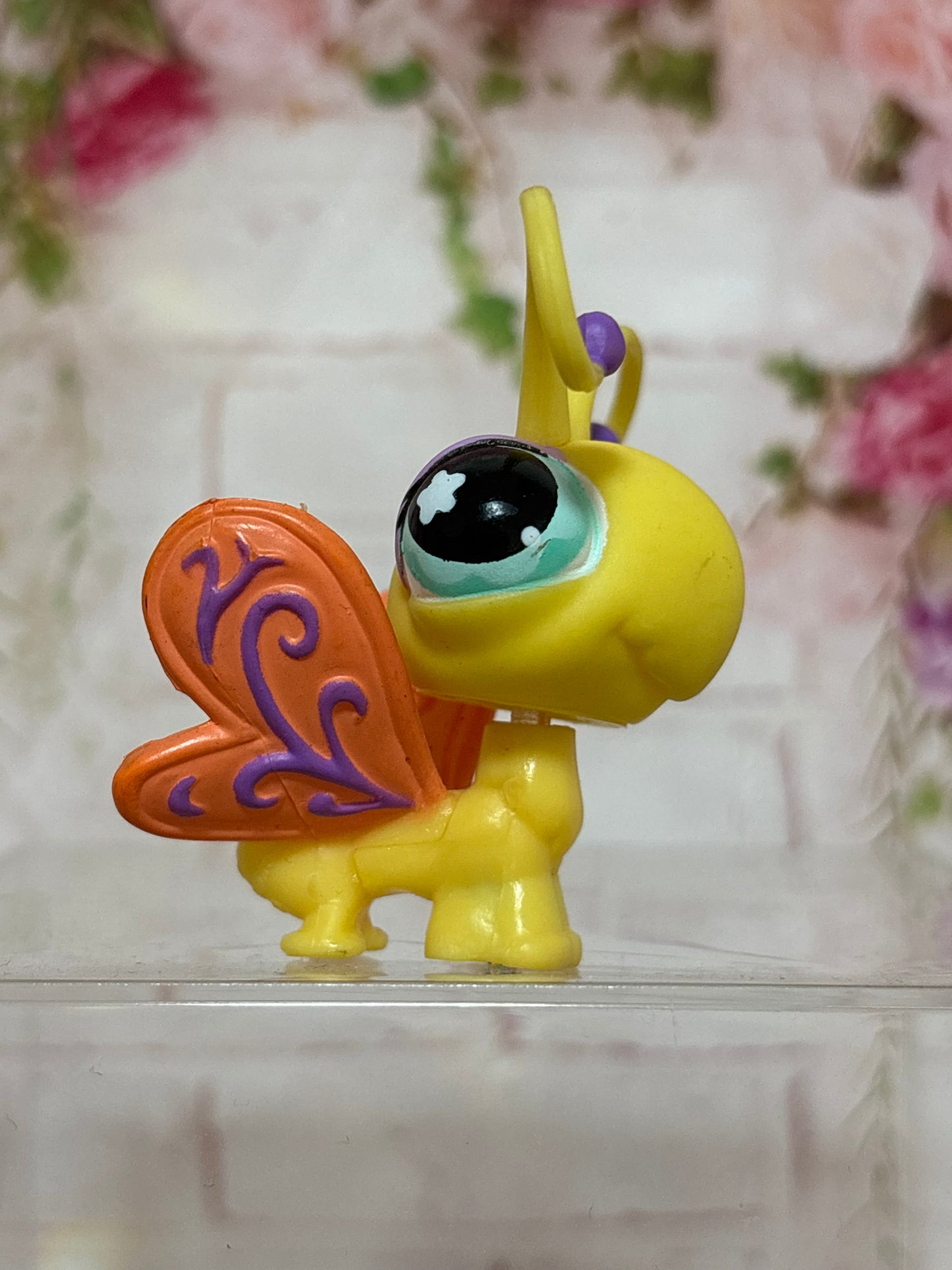 LPS Butterfly