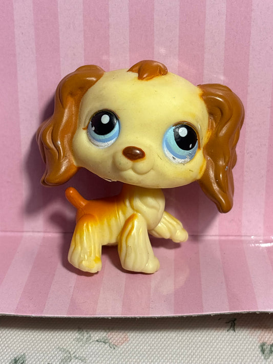 LPS Cocker Spaniel #298