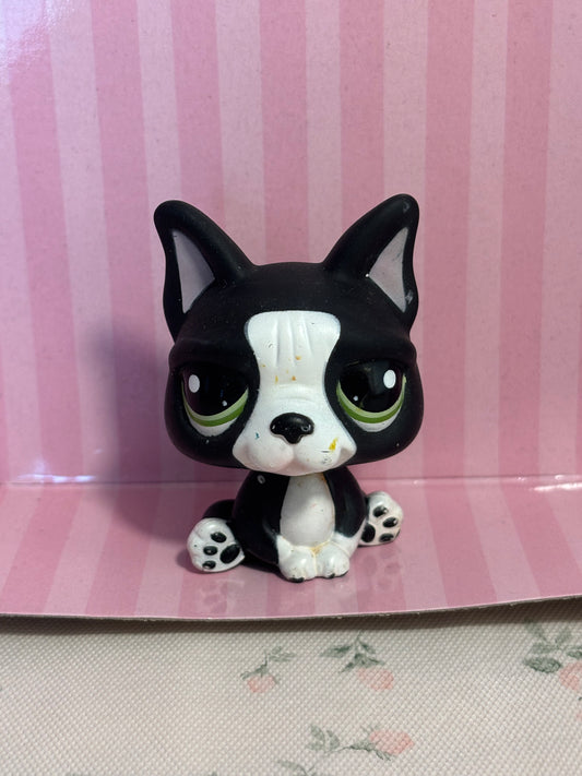 LPS French Bulldog #1762