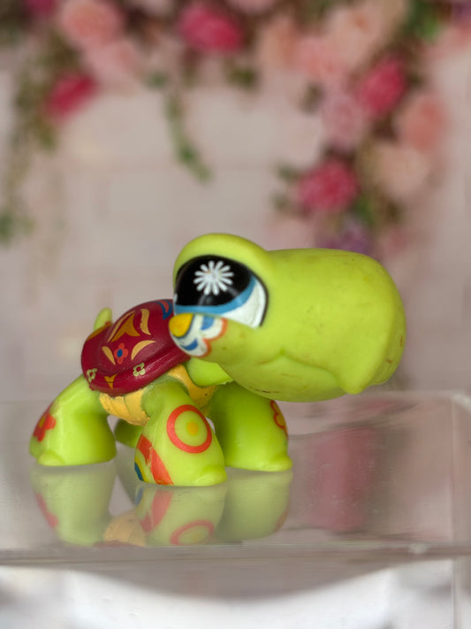 LPS Postcard Turtle