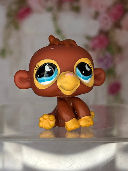 LPS Monkey