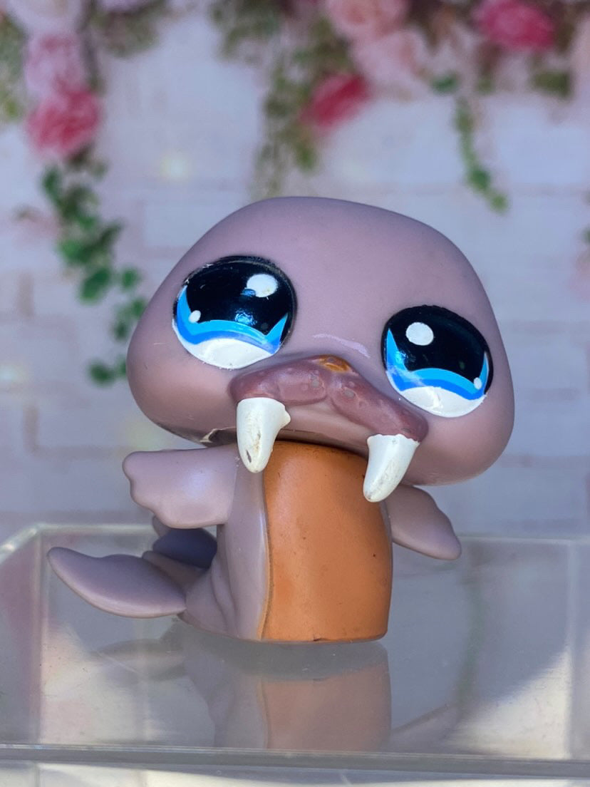 LPS Walrus #1119