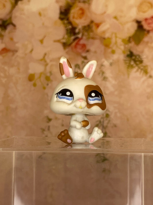 LPS Bunny #1359