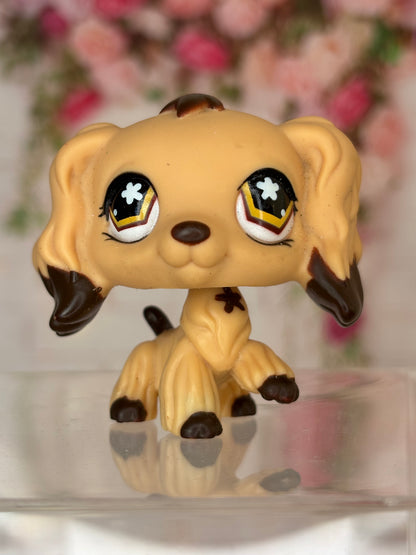 LPS Cocker Spaniel #575