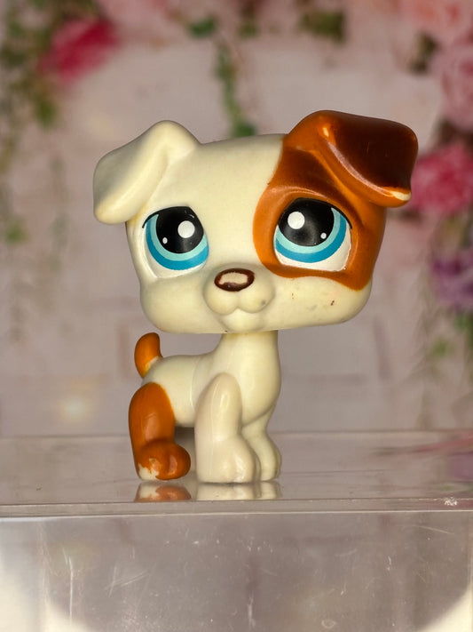 LPS Jack Russel #152