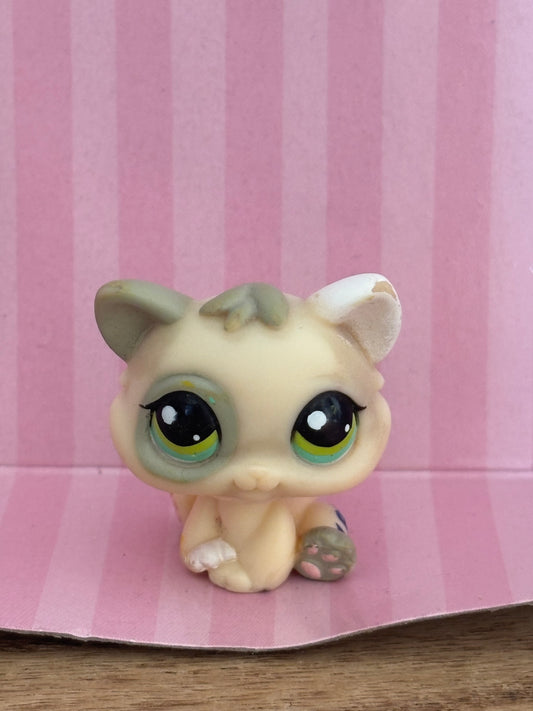 LPS Kitten #1074