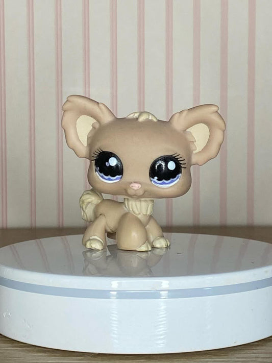 LPS Chihuahua