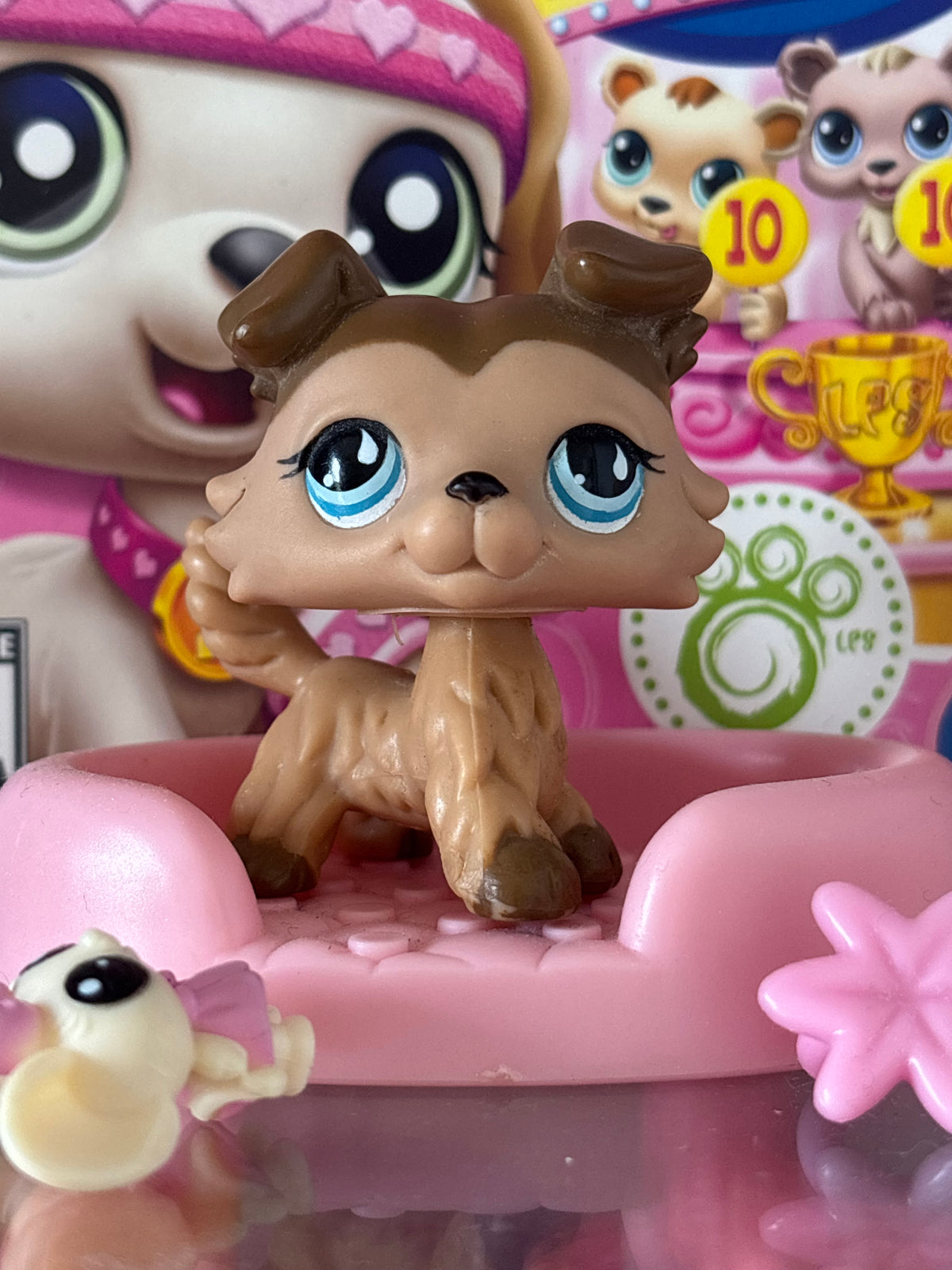 LPS Colley #893