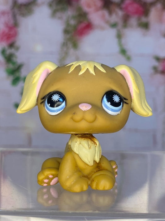 LPS Golden Retriever #951