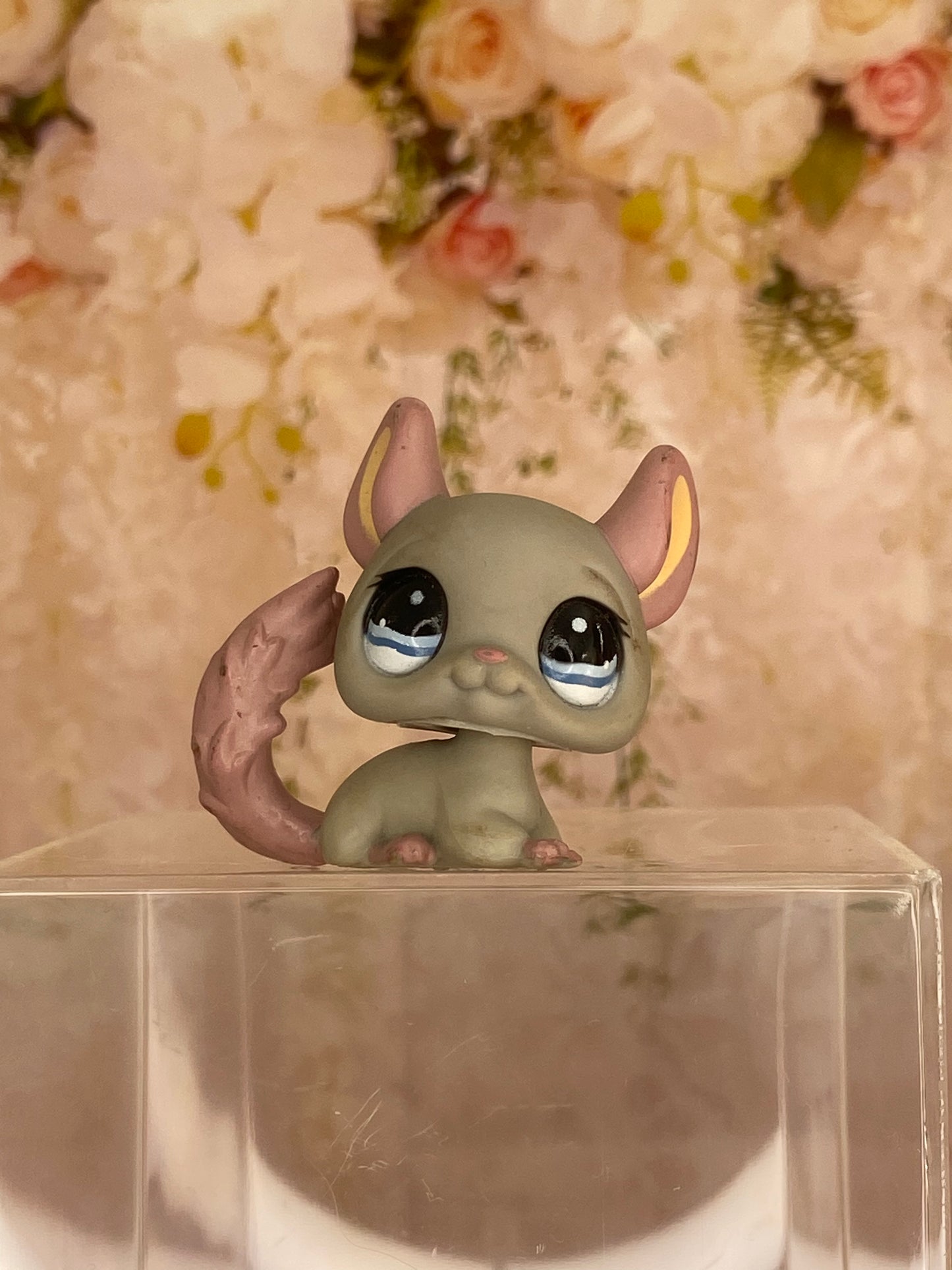 LPS Chinchilla #1165