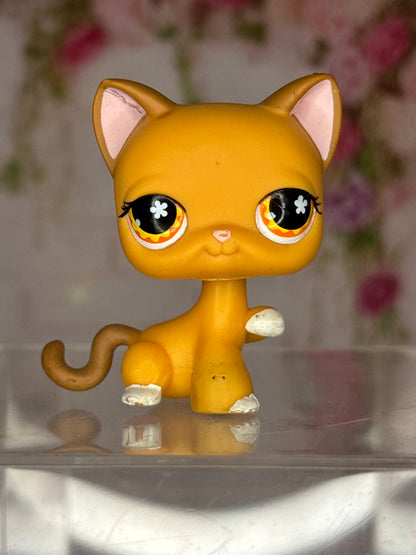 LPS Paw Up Cat