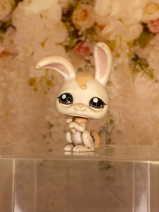 LPS Bunny #1653