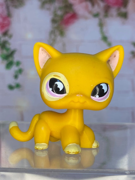 LPS Shorthair Car #855