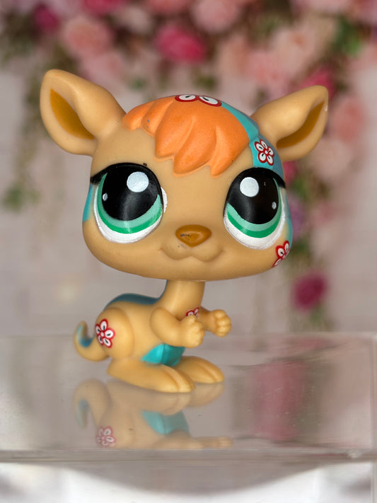 LPS Postcard Kangarol