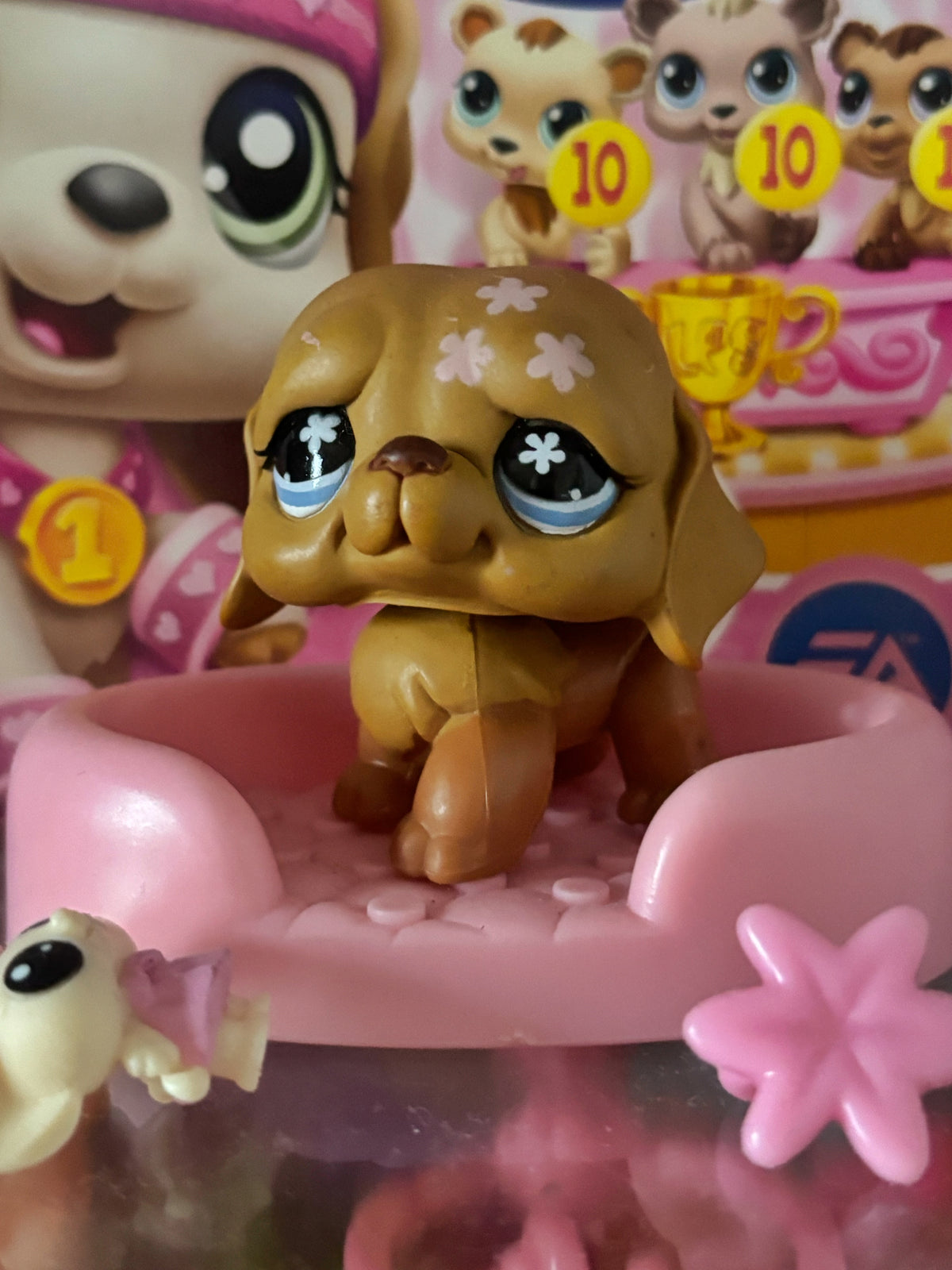 LPS Saint Bernard #481