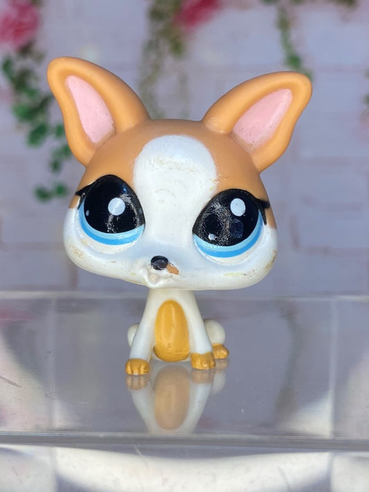LPS Chihuahua #2072