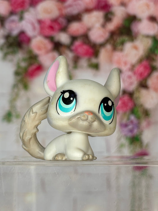 LPS Chinchilla #1401