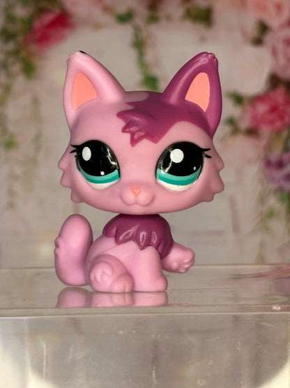 LPS Maine Coon #2465