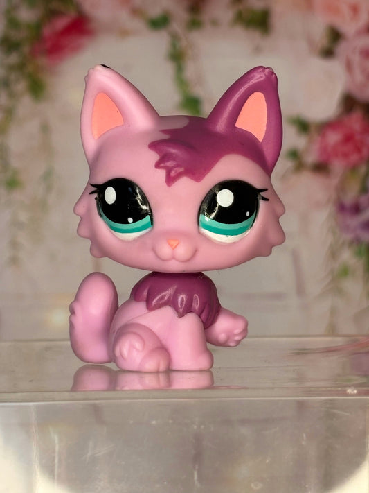 LPS Maine Coon #2465
