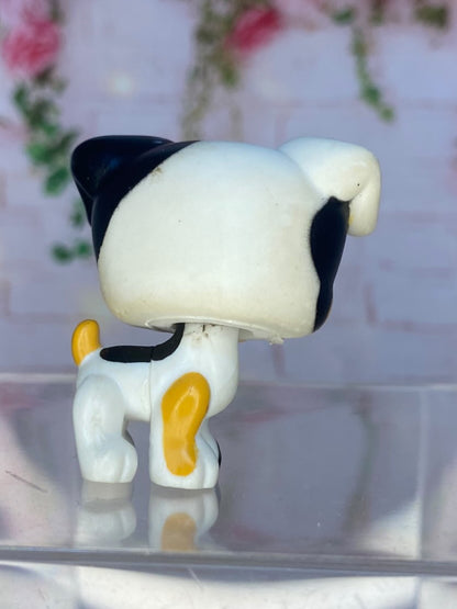 LPS Jack Russel #803