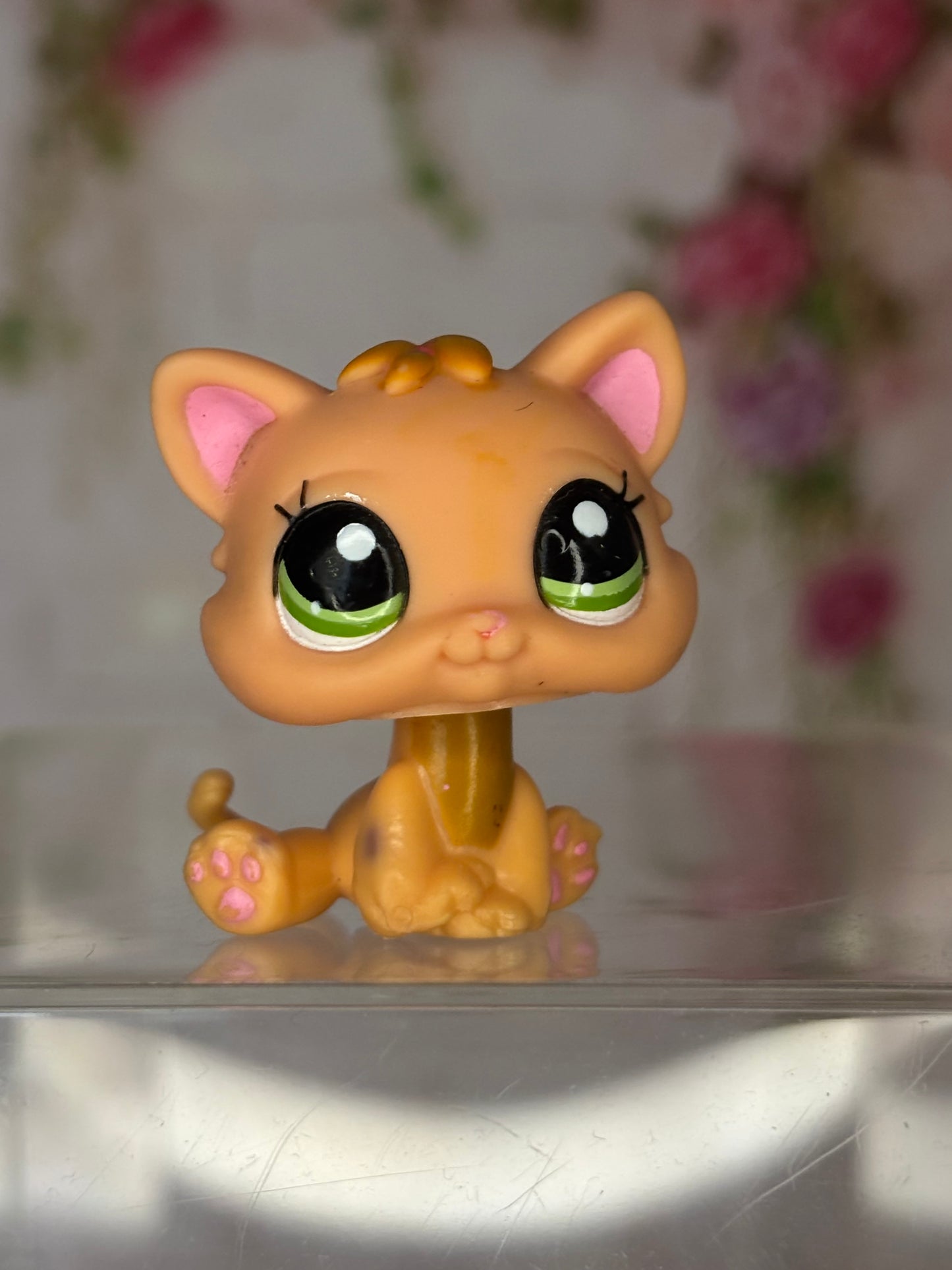 LPS Kitten #1691