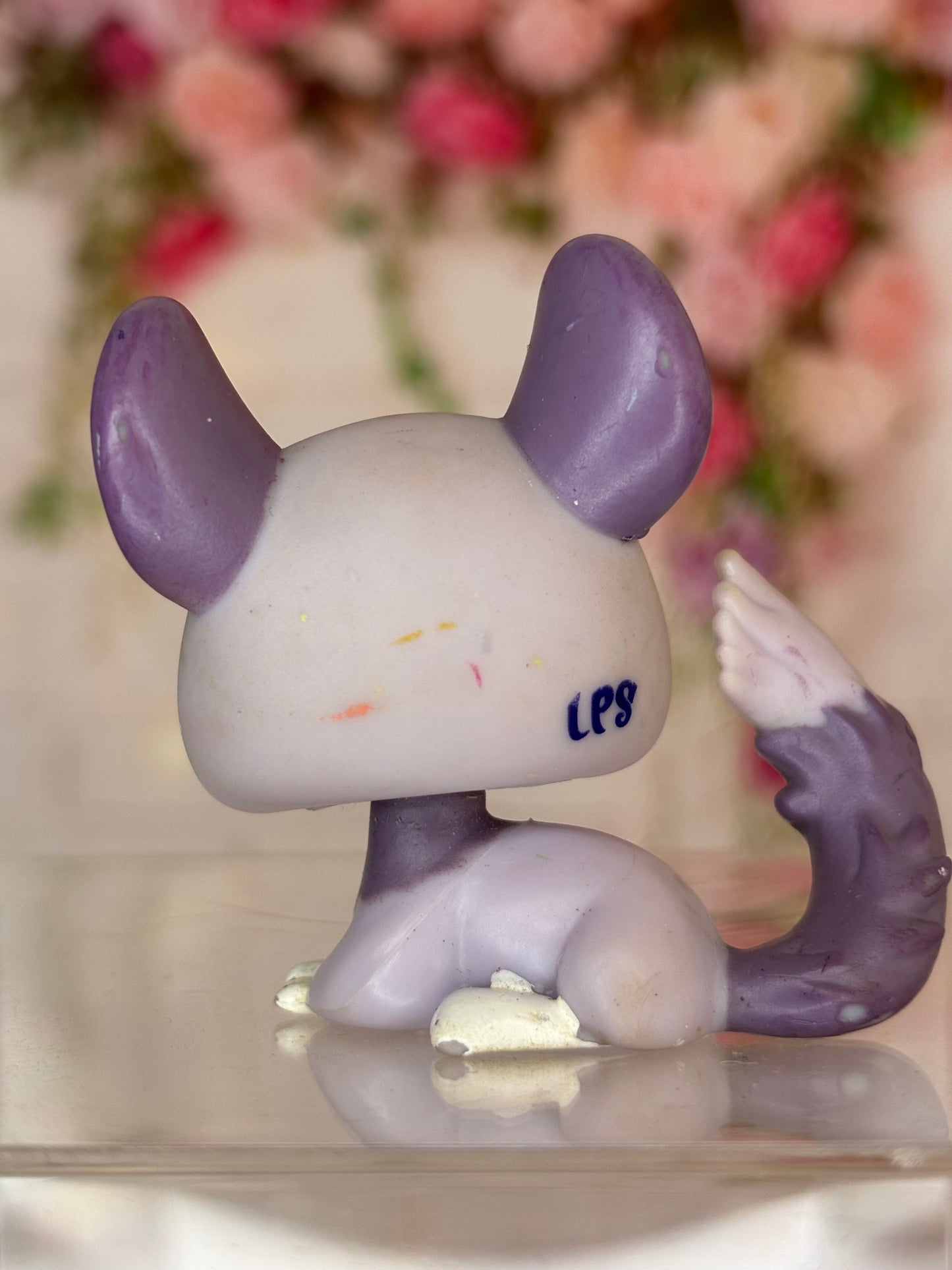 LPS Chinchilla #2135