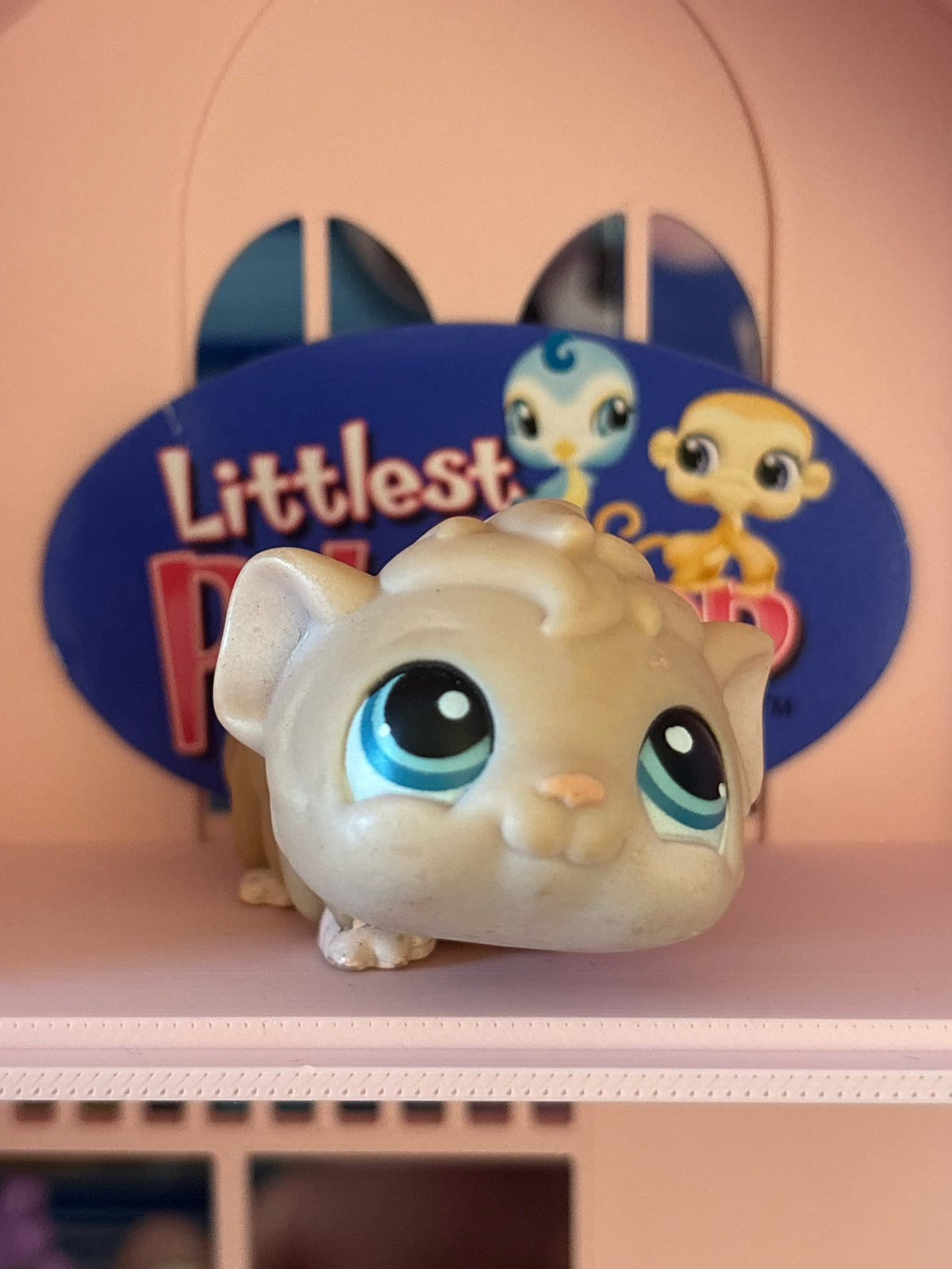 LPS Guinea Pig #157