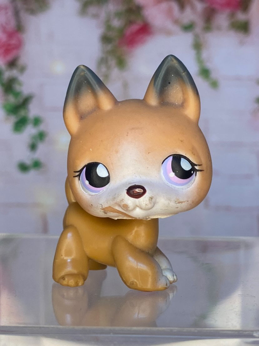 LPS German Shepherd #112