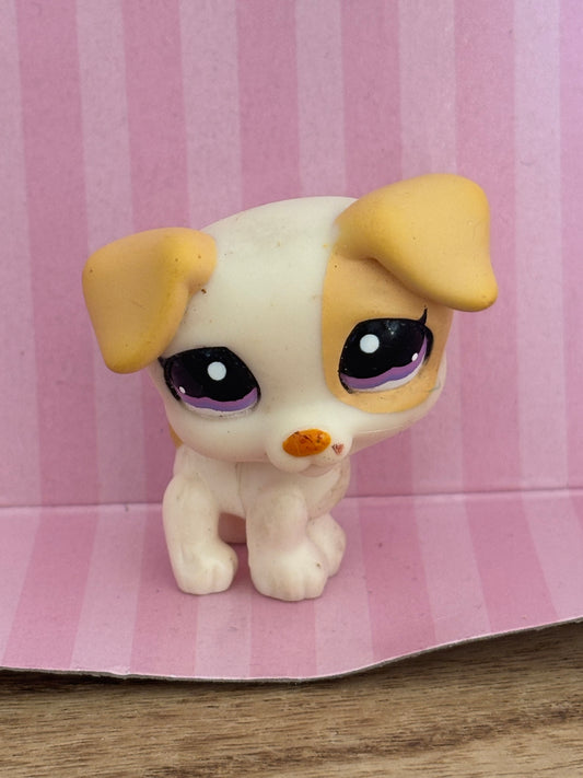 LPS Jack Russel #1110