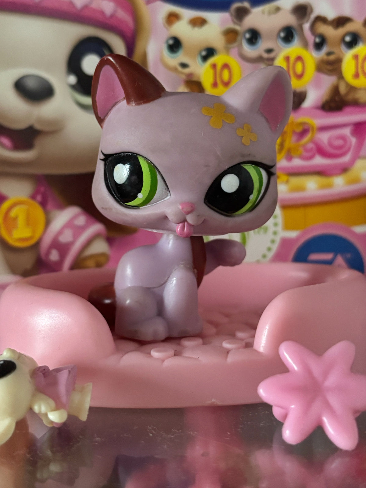 LPS Paw Licking Cat #1718