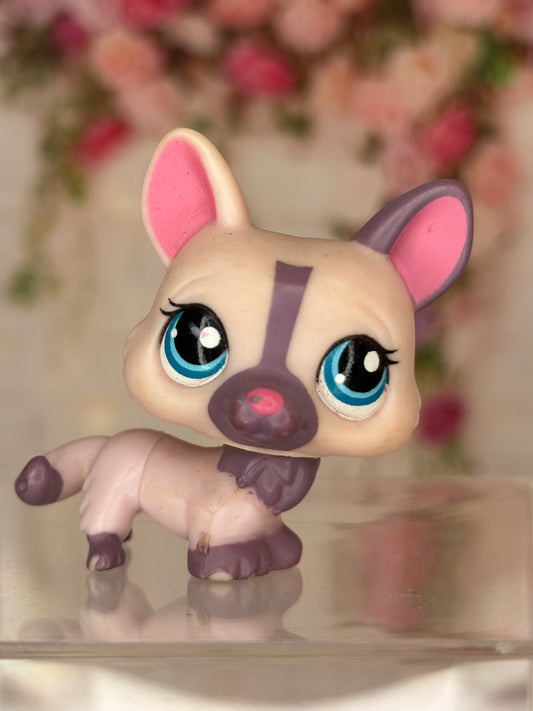 LPS Corgi #1645