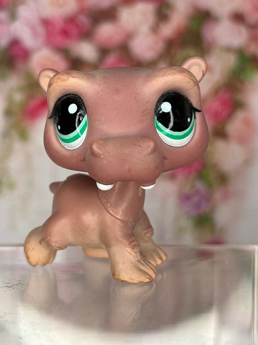 LPS Hippo