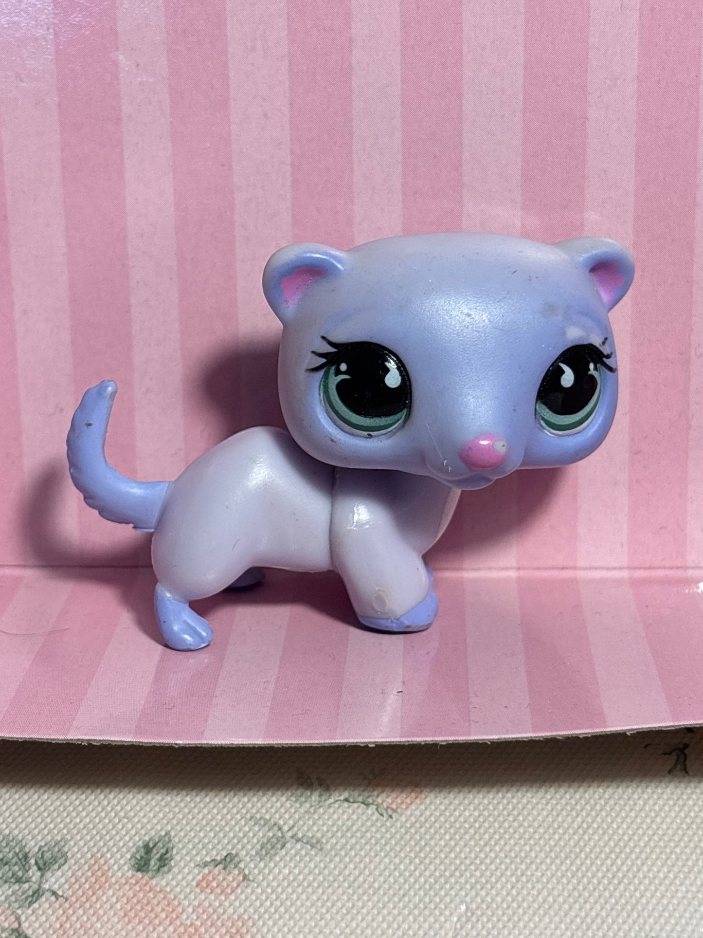 LPS Ferret #880