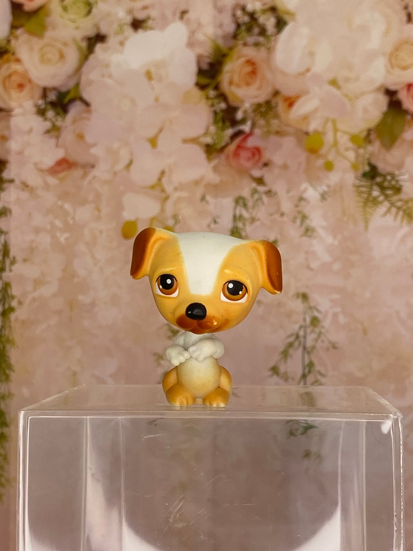 LPS Jack Russel #40