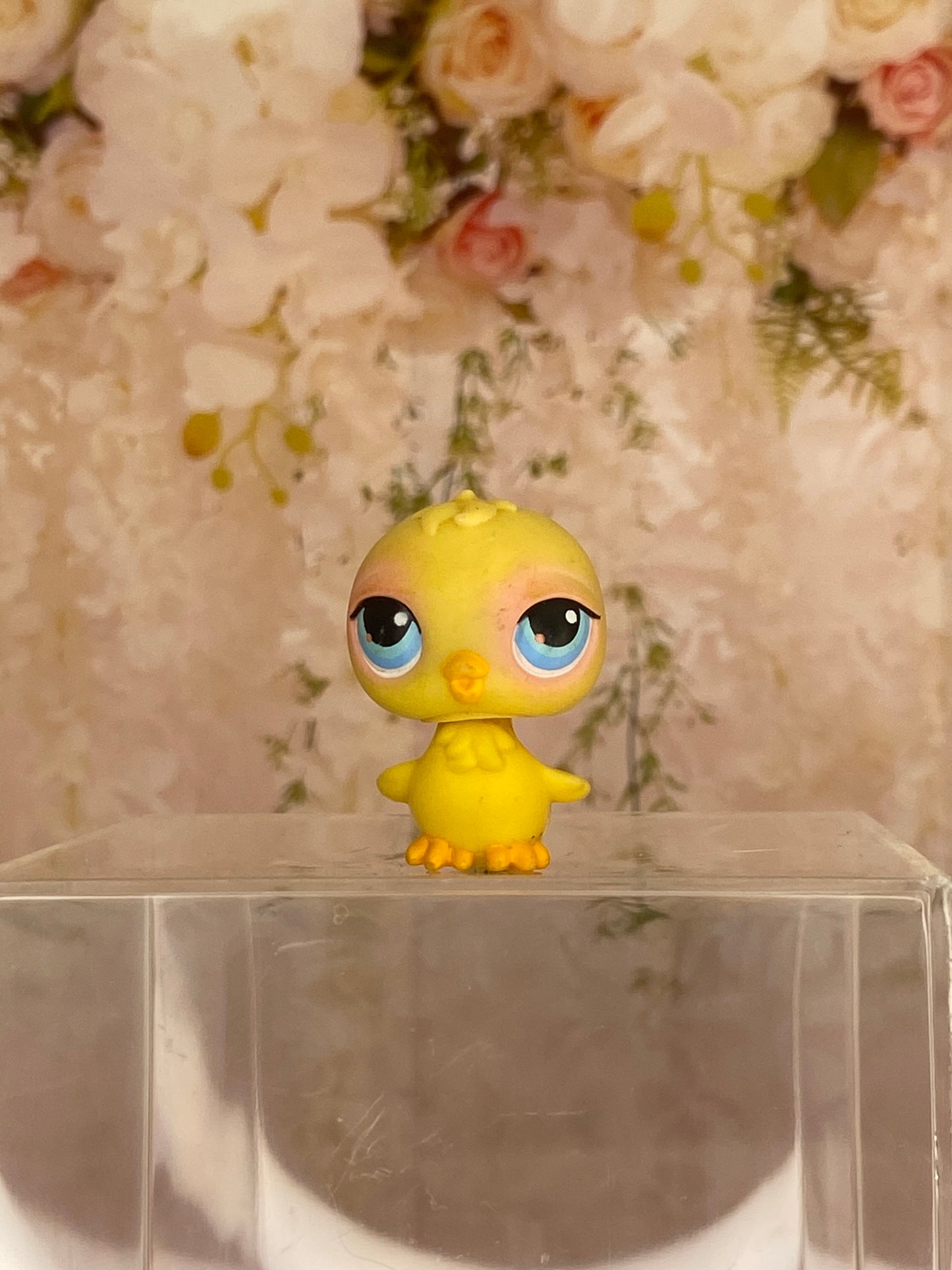 LPS Chick #81