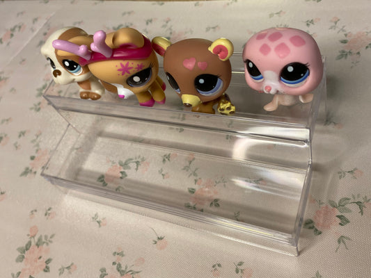 Rectangle Display 2 Columns
