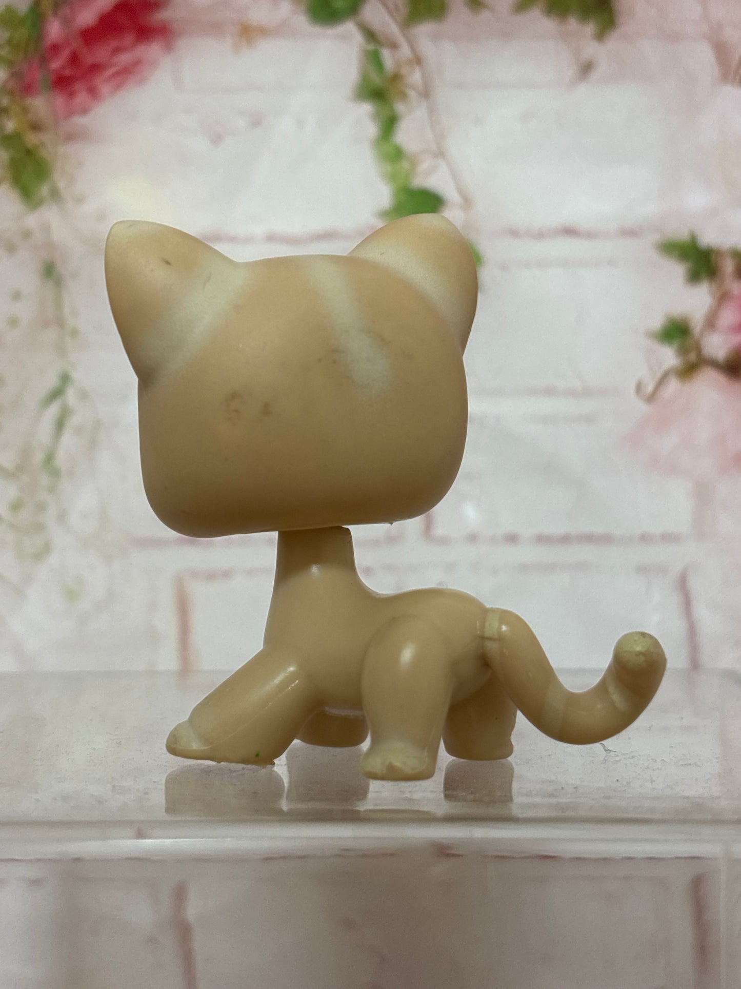 LPS Old Shorthair Cat