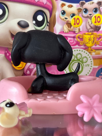 LPS Dachshund #325