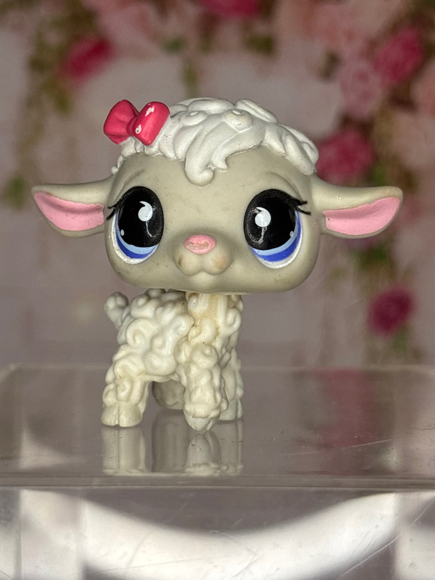 LPS Lamb