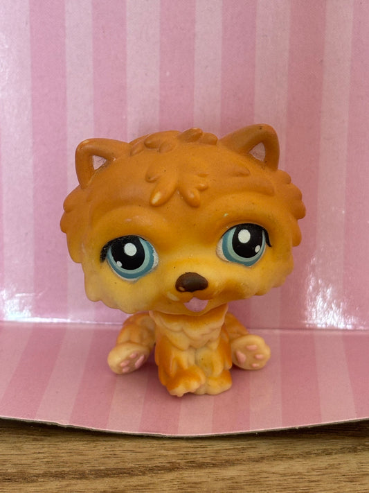 LPS Chow Chow #117