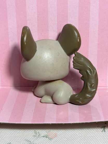 LPS Chinchila #687