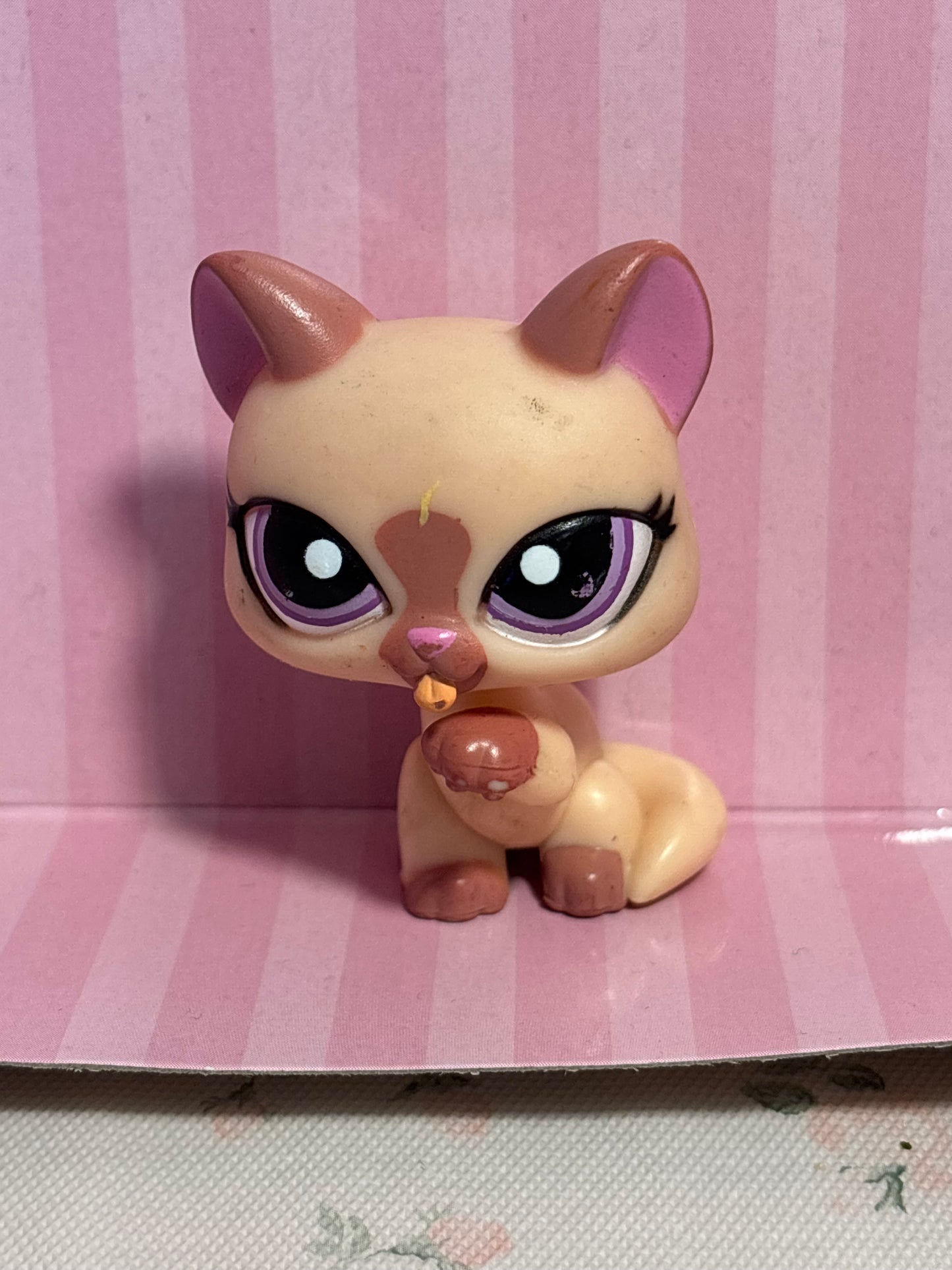 LPS Paw Licking Cat #1626