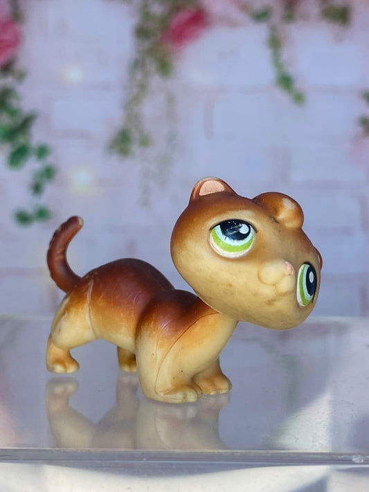 LPS Ferret #289