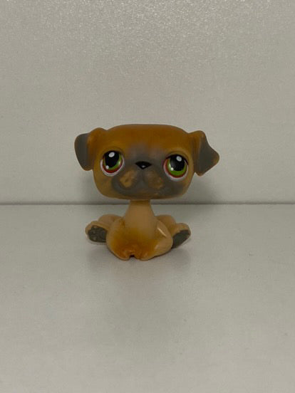 LPS Pug