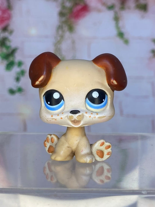 LPS Puppy #143