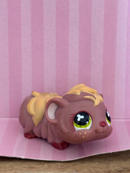 LPS Guinea Pig #510
