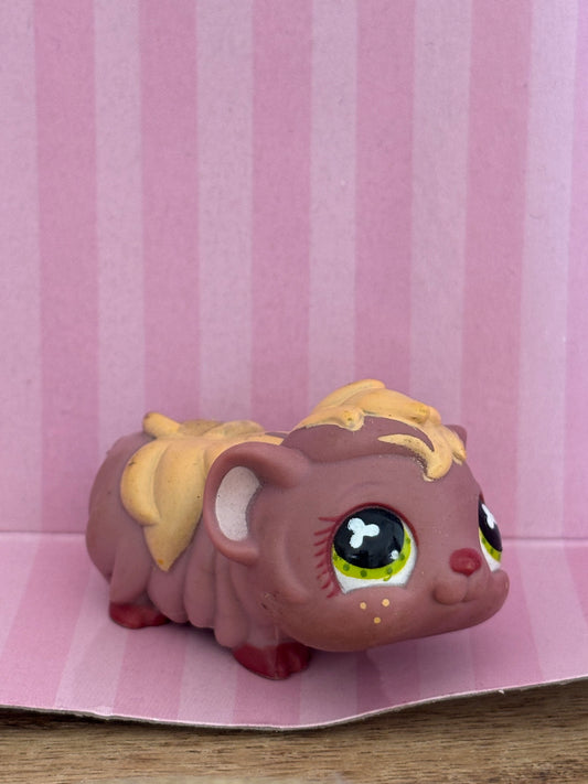LPS Guinea Pig #510