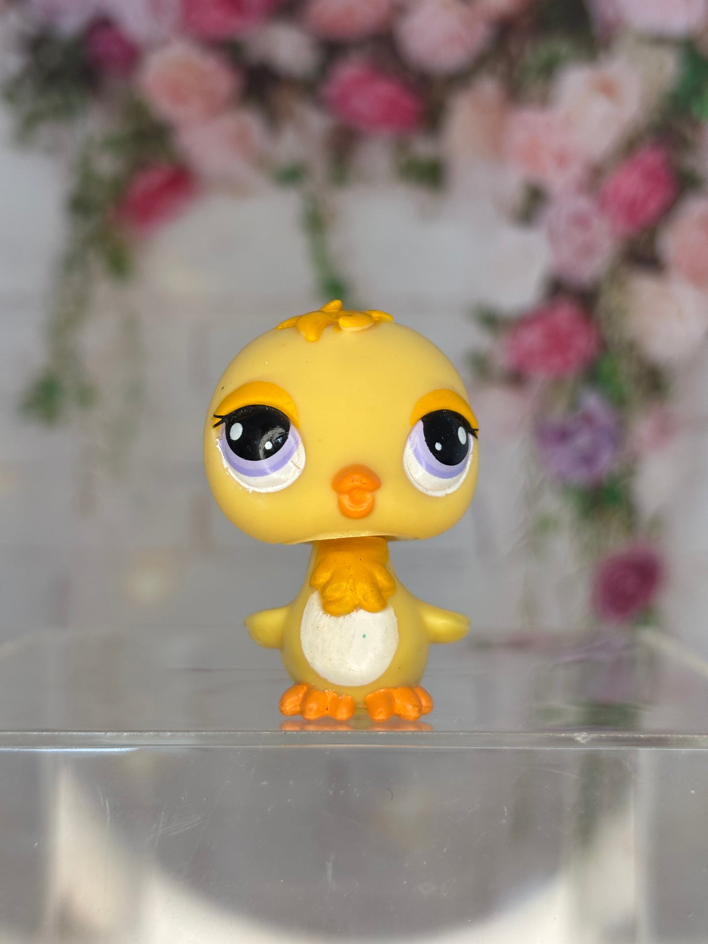 LPS Chick #2419