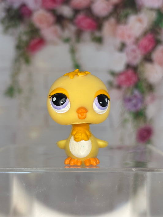 LPS Chick #2419