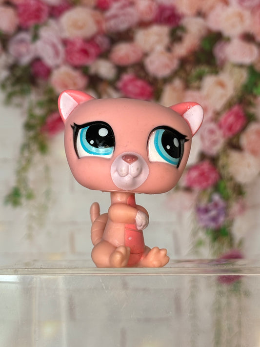 LPS Possum #1625